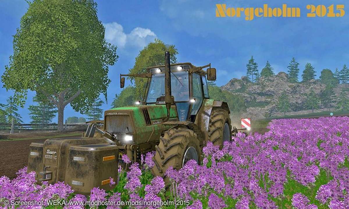 Norgeholm Screenshot