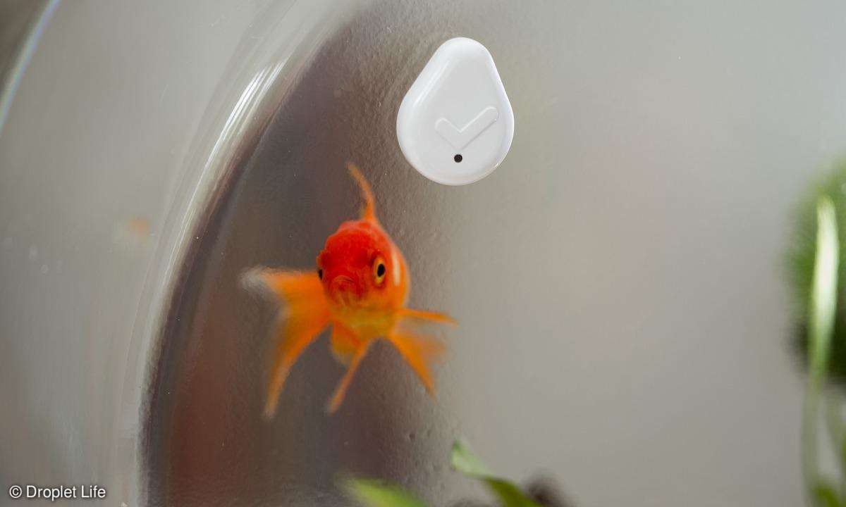 Droplet - Button