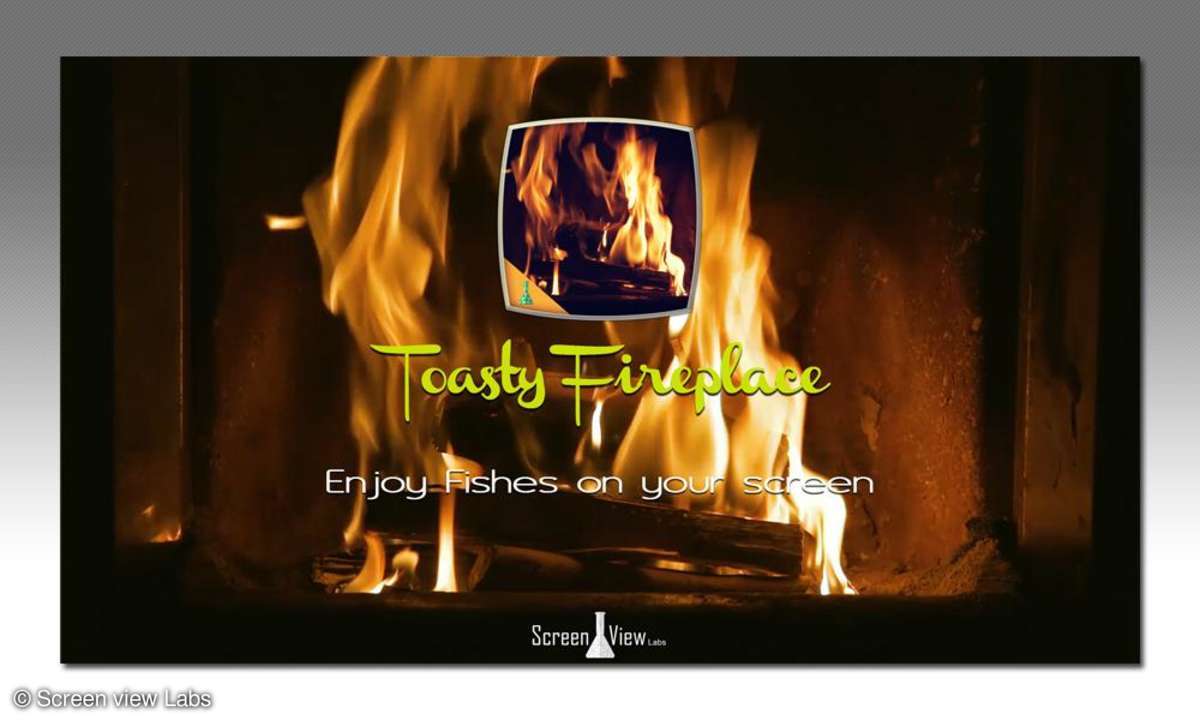 Toasty Fireplace