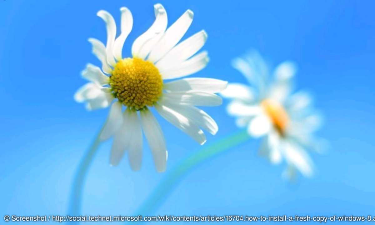 Windows 8: Wallpaper