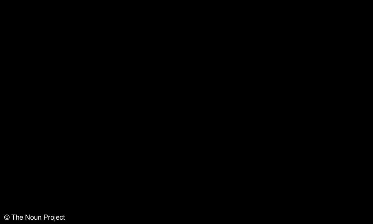 Wireless LAN (WLAN)