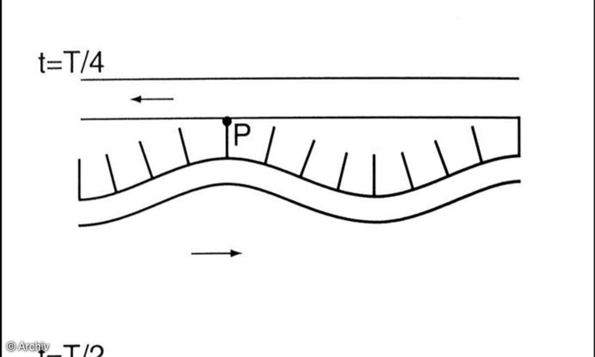 Darstellung Zahn P