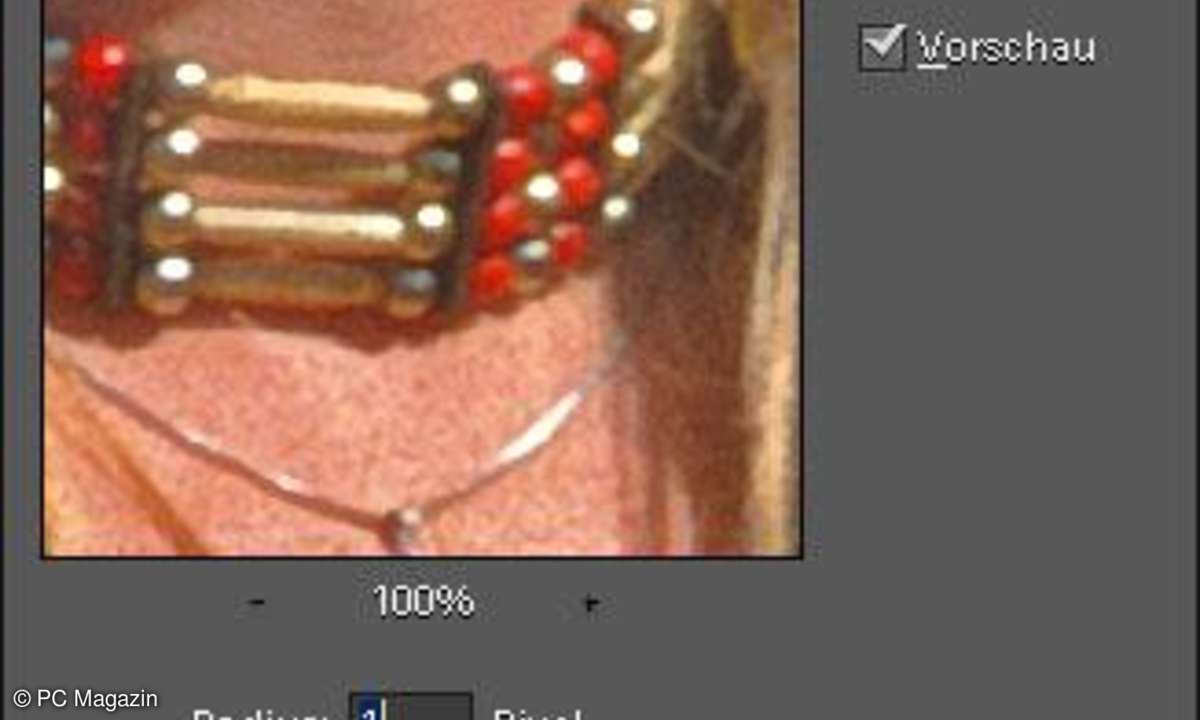 Adobe Photoshop Elements 10 - Vorschau