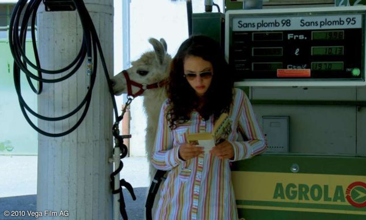 Was das Lama an der Tankstelle macht? Das ist doch unerheblich.