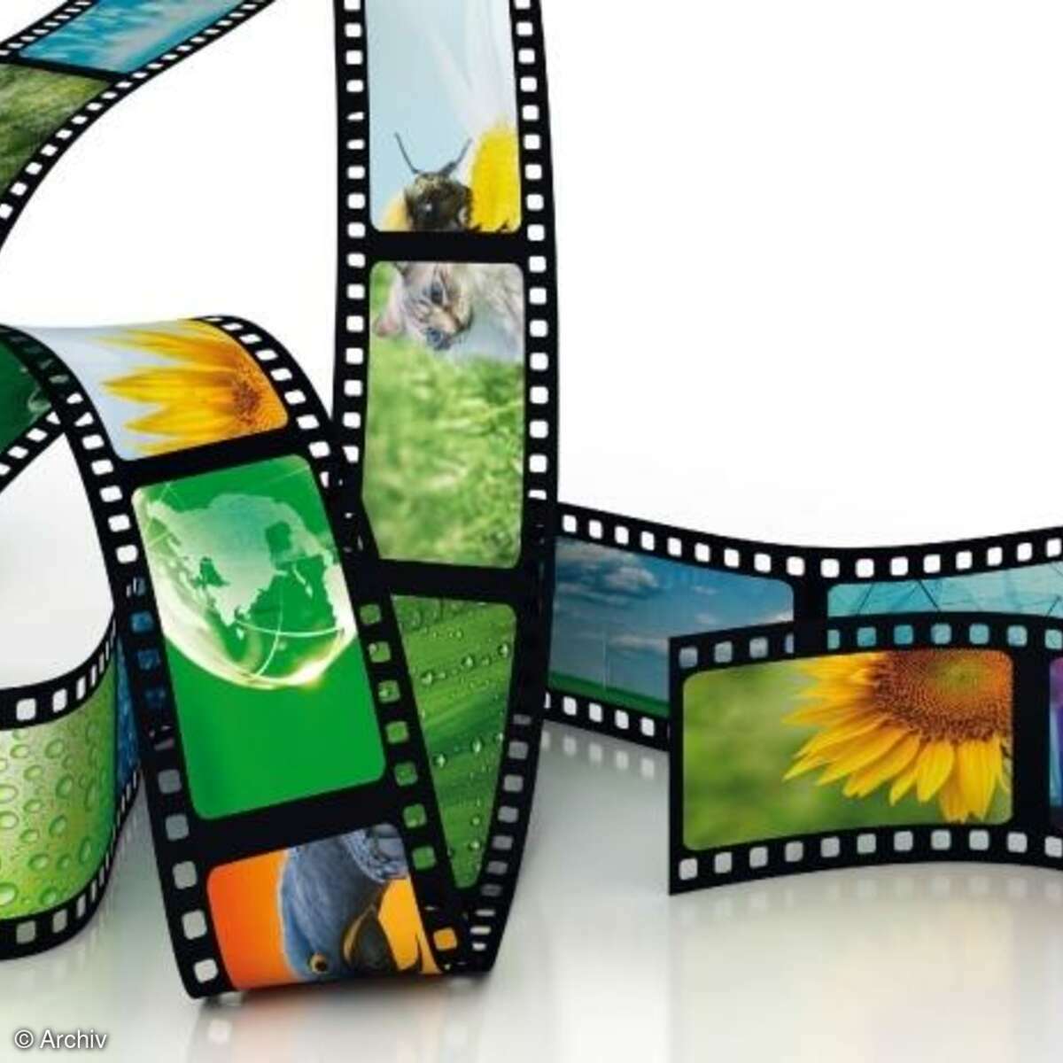 Fotos, Negative und Dias digitalisieren