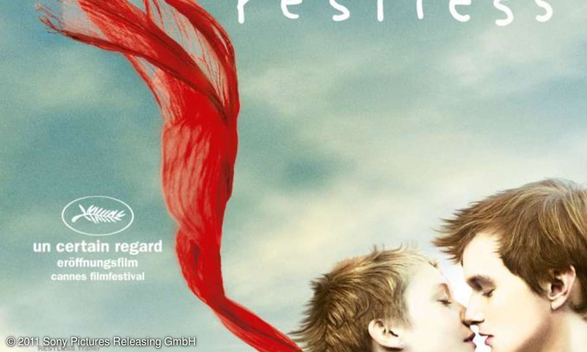 Zwei Teenager erleben eine erste Liebe im Angesicht des Todes.