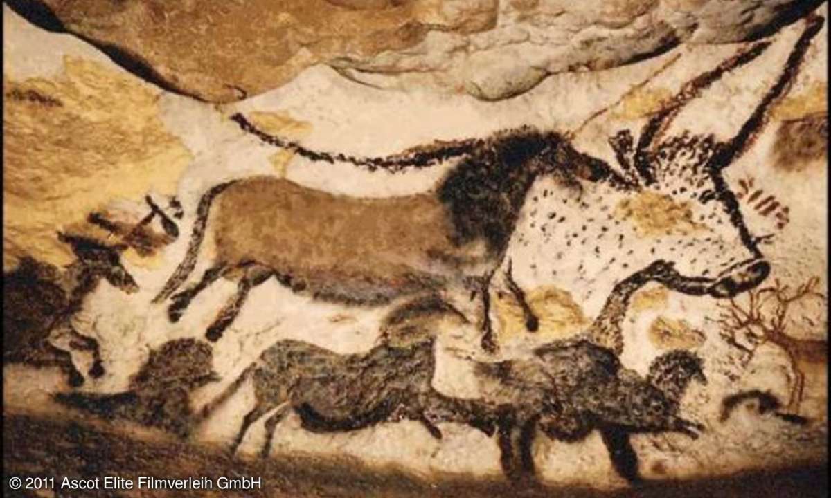 Die Zeichnungen in der Höhle überwältigen mit Details und plastischer Darstellung.