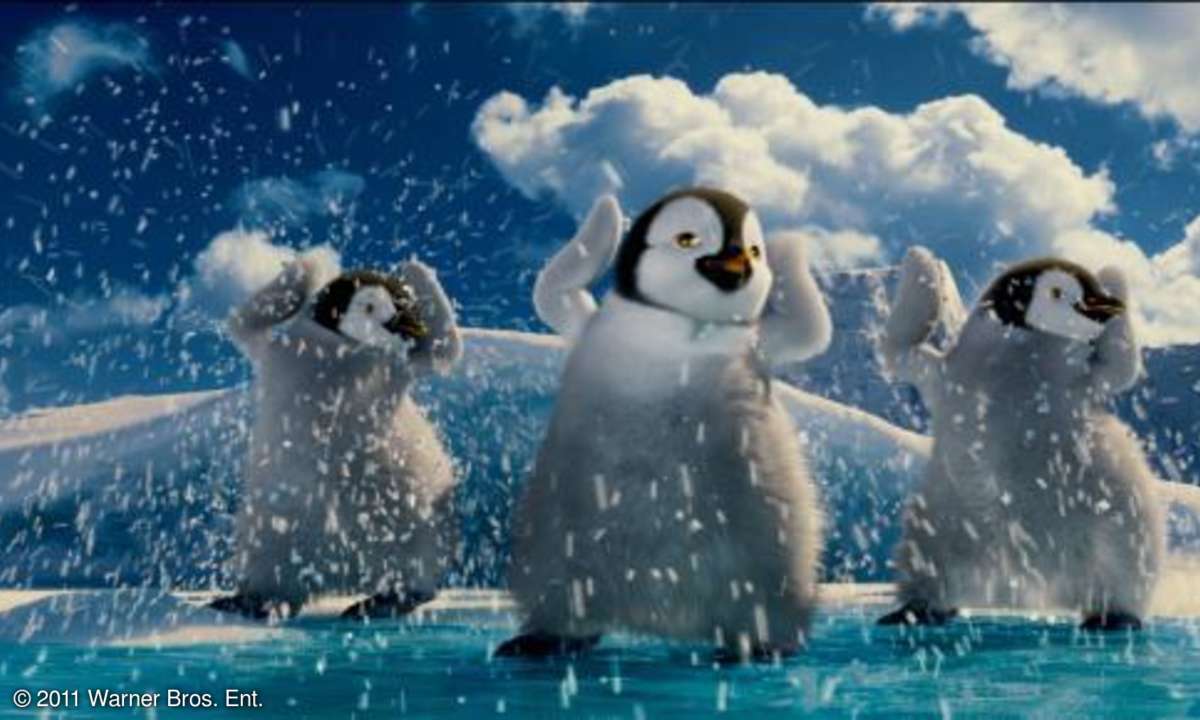 Die Pinguine legen immer wieder ein Tänzchen hin.