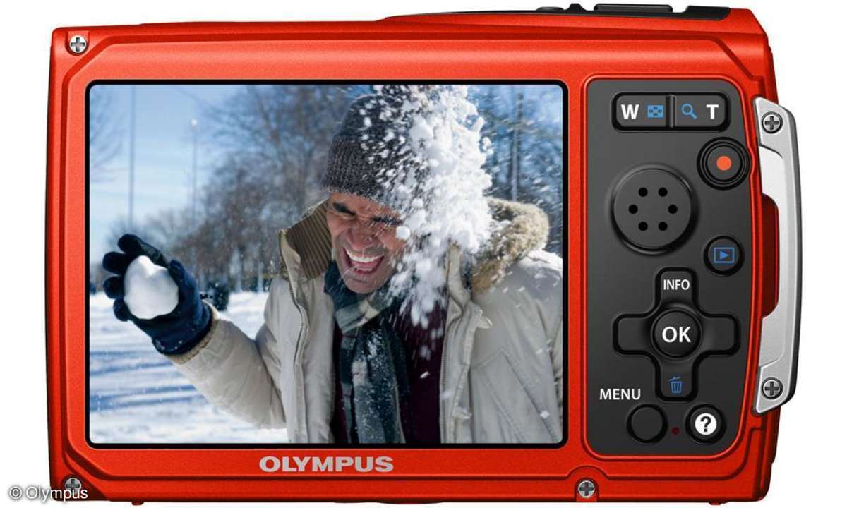 image.jpg