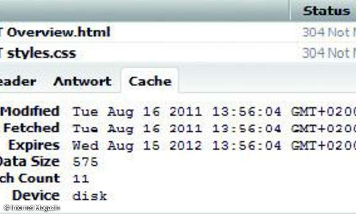 Im Firebug sehen Sie im Netzwerk- Bereich einen eigenen Tab Cache mit Informationen zu den aus dem Cache geholten Dateien.