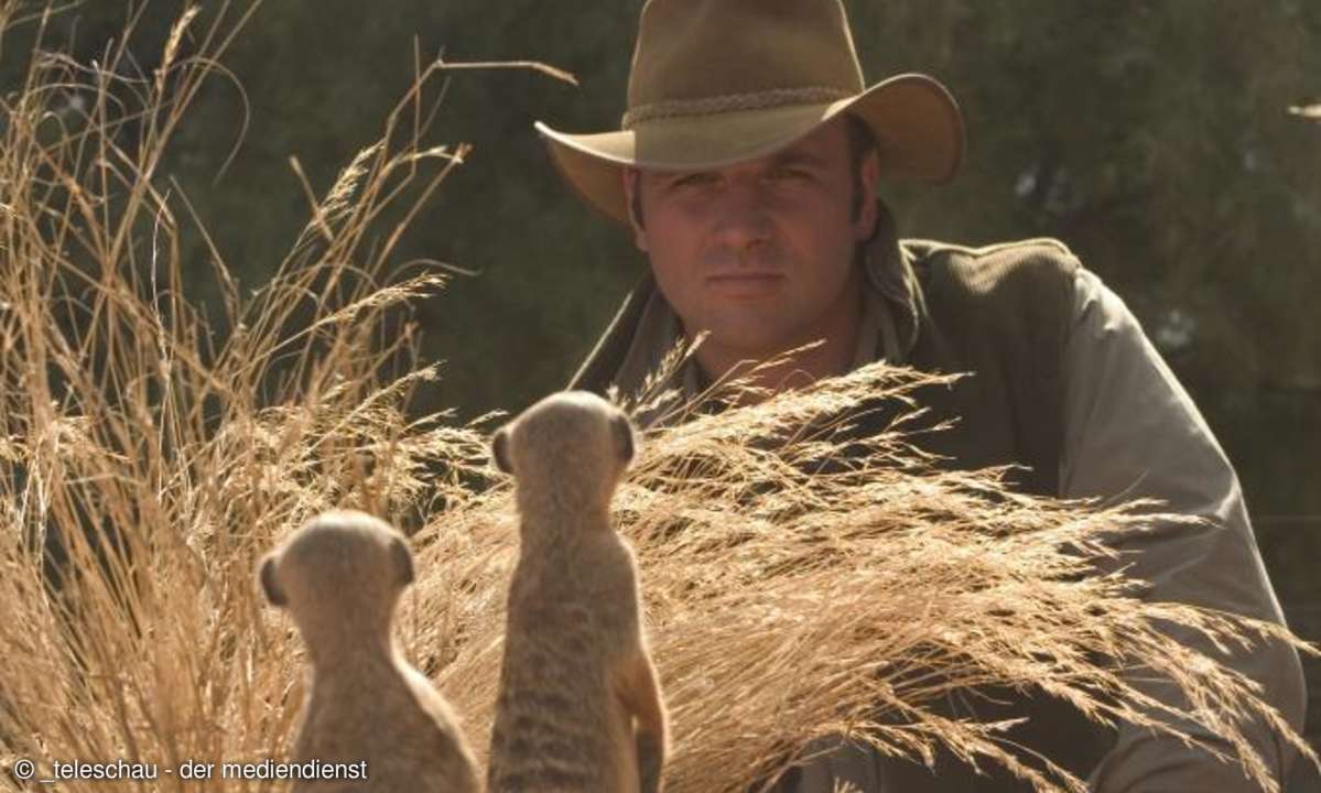 Kino-Kritik: Wächter der Wüste