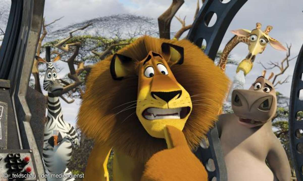 Film-DVD: Madagascar 2