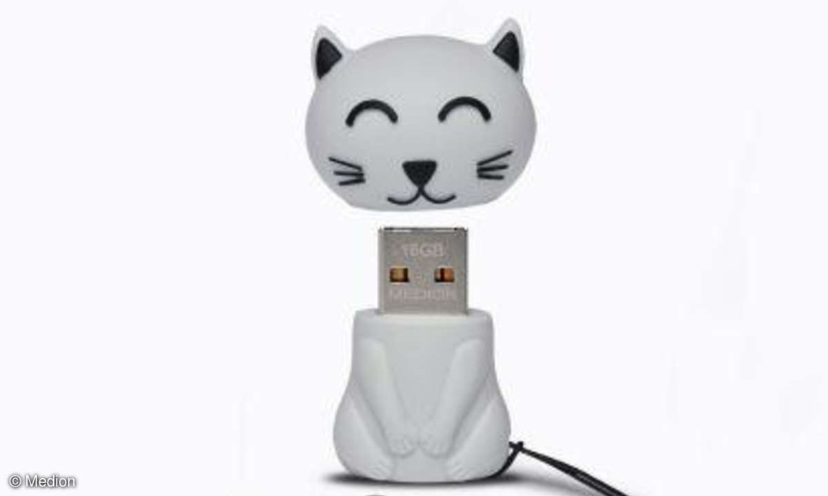 USB-Stick, Katze: ALDI