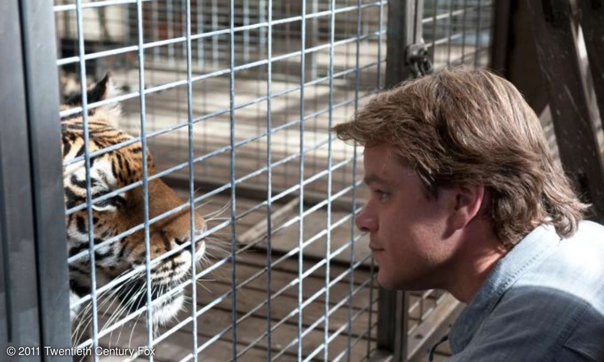Benjamin (Matt Damon) will den alten Tiger nicht sterben lassen.