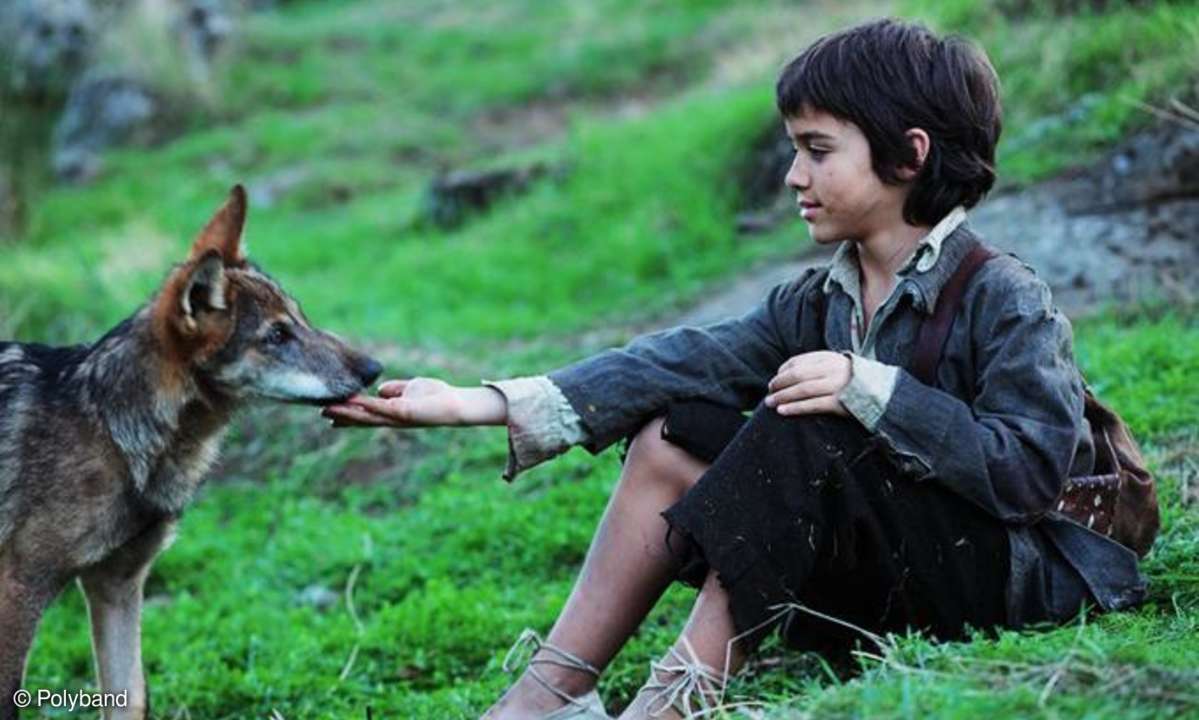 Erste Annäherung, die eine lange Freundschaft nach sich zieht: der siebenjährige Marcos (Manuel Camacho) mit einem jungen Wolf.