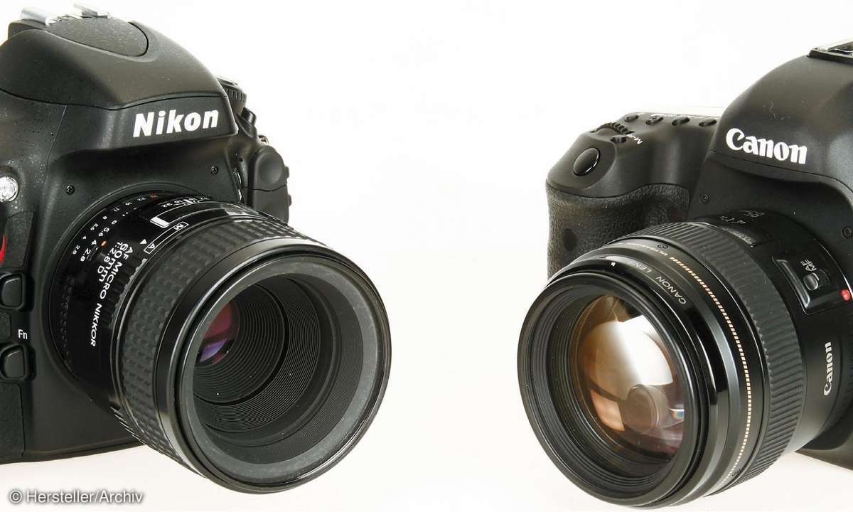 Nikon D800 und Canon 5D Mark III im Test