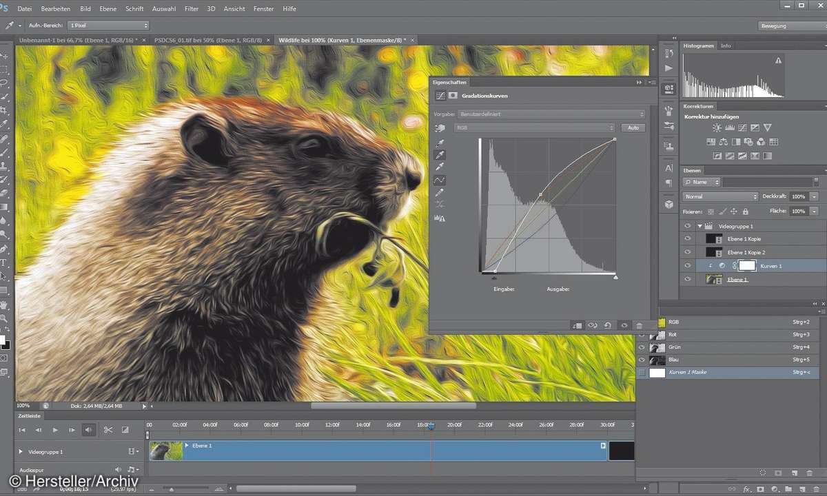 Adobe Photoshop CS6 Extended