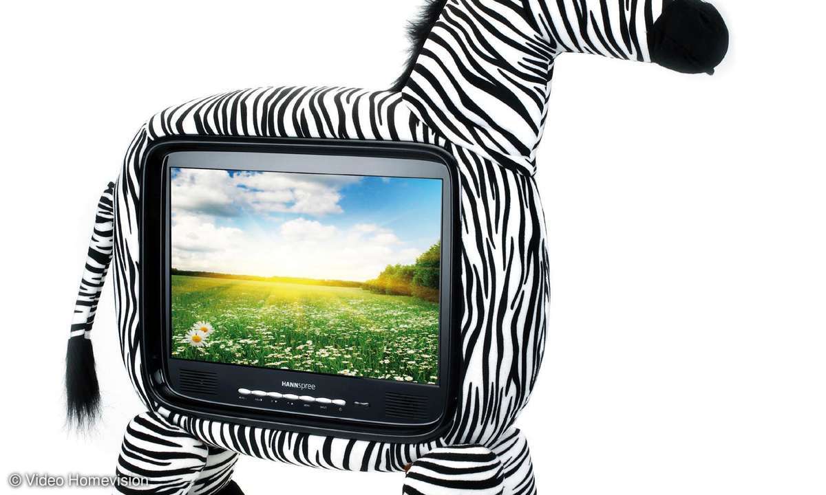 Hannspree Zebra 19 TV