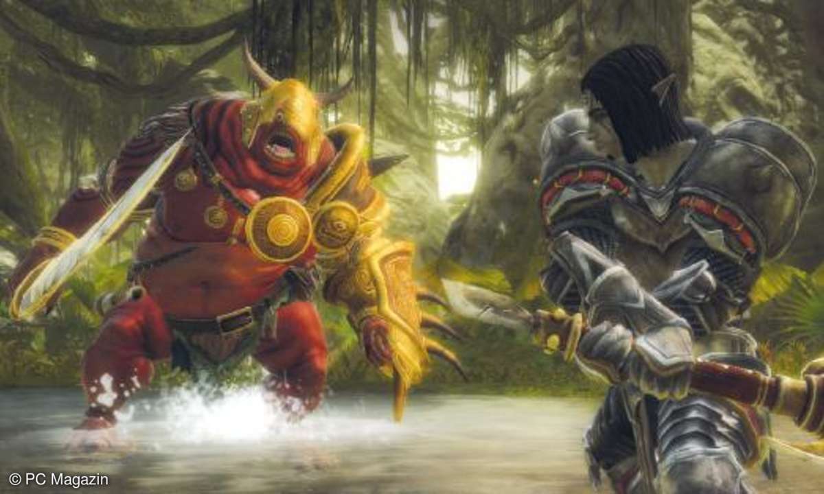 Spiele, test, Kingdoms of Amalur: Reckoning