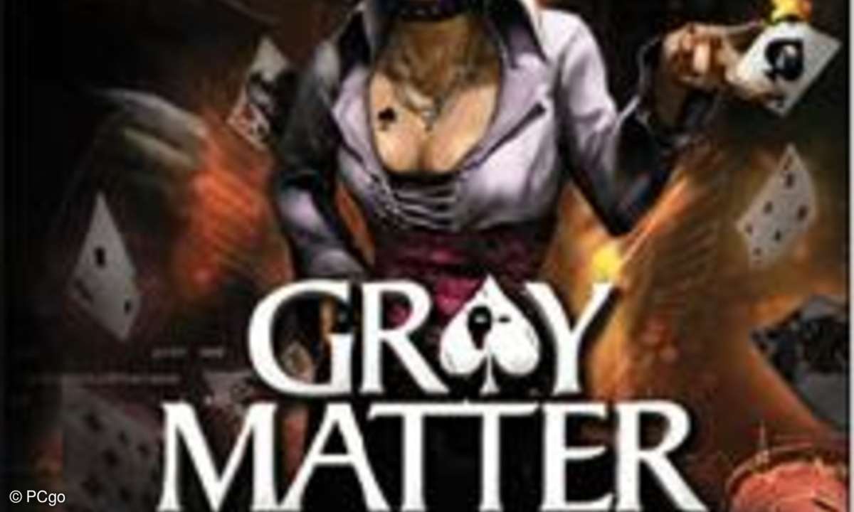 Spiele, test, Fußball Manager 11, Fallout: New Vegas, Gray Matter