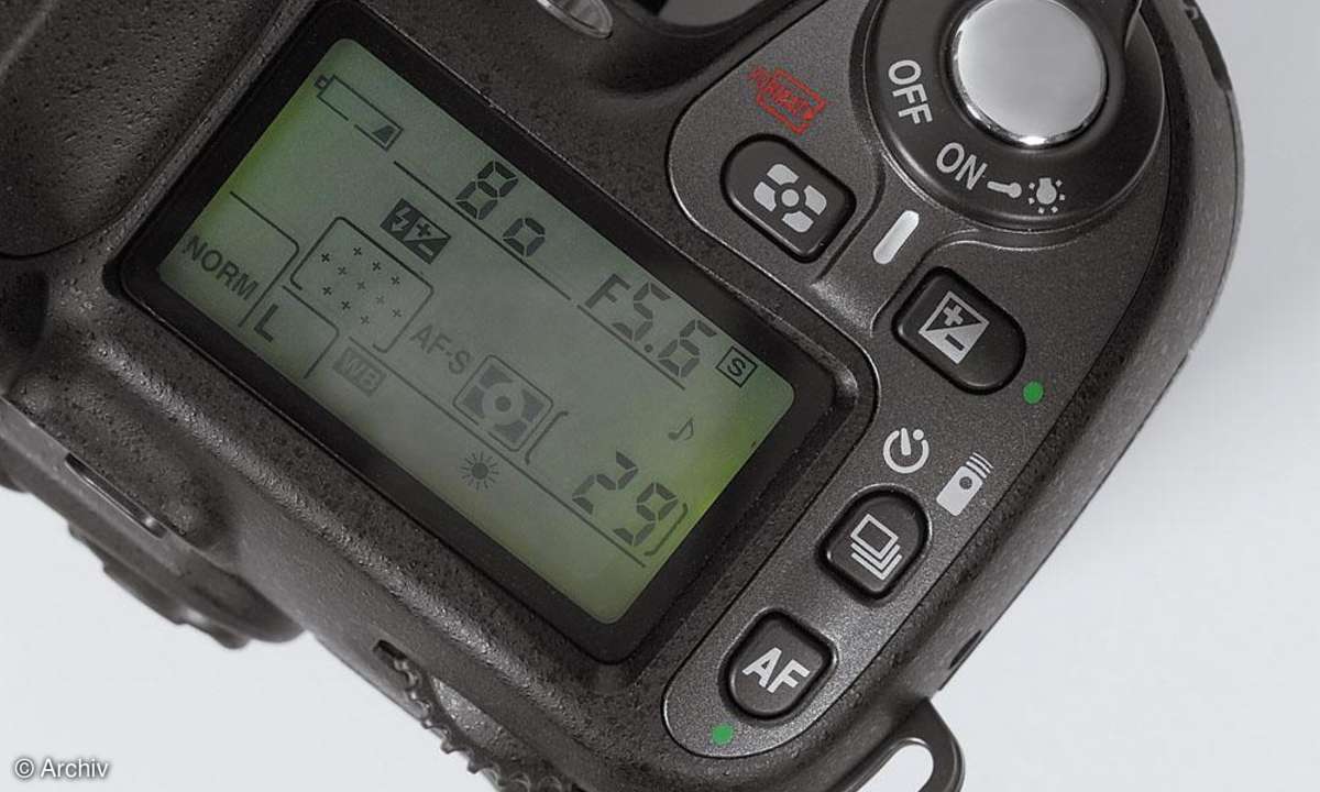 Nikon D80 Display