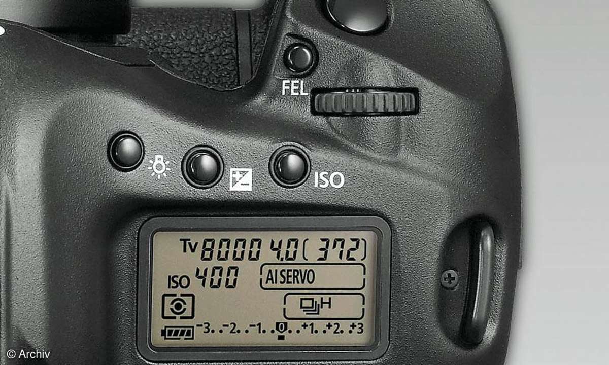 Canon EOS 1Ds Mark III Display