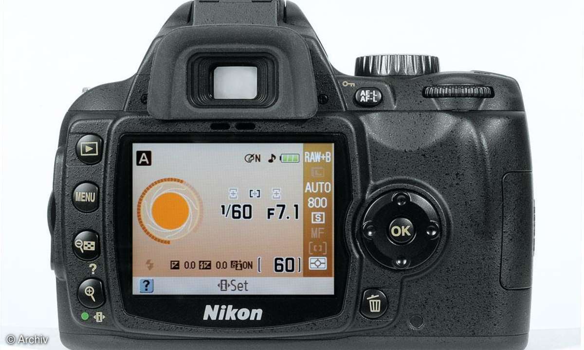 Nikon D60 Rückseite/ Display