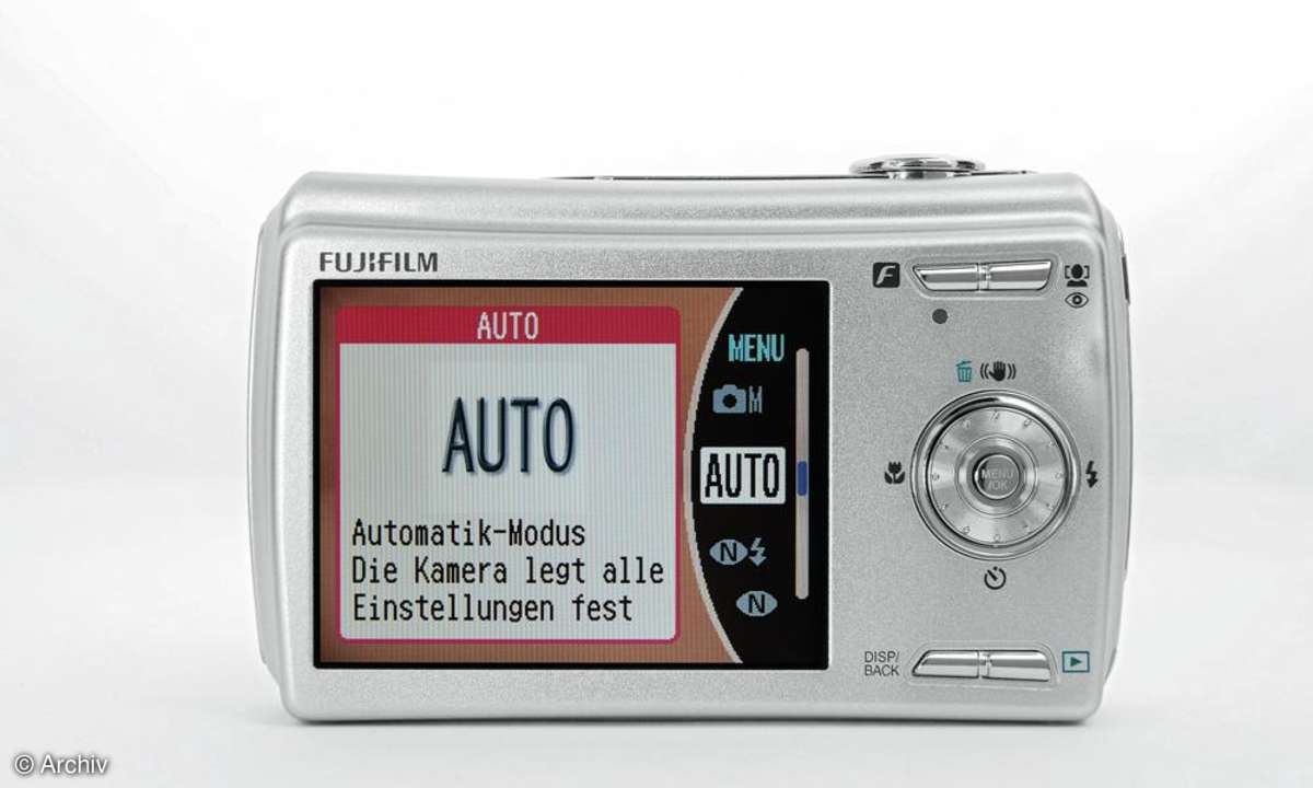 Fuji Finepix F100fd Rückseite/ Display