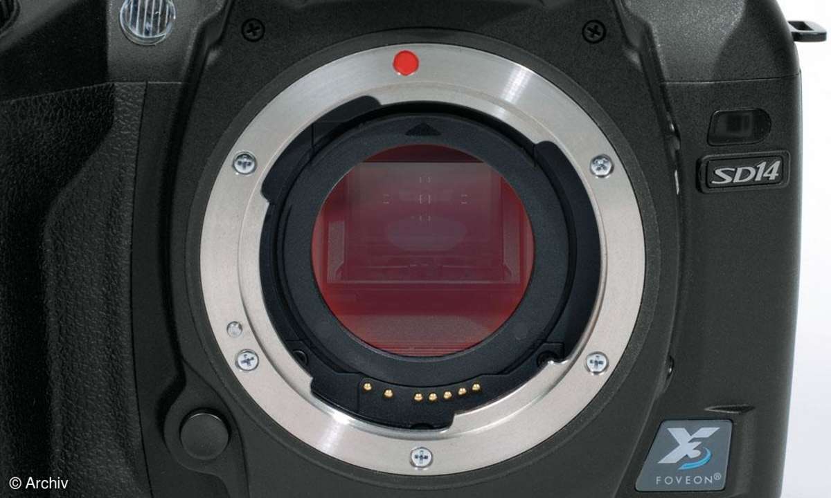 Sigma SD14 Staubschutzfilter