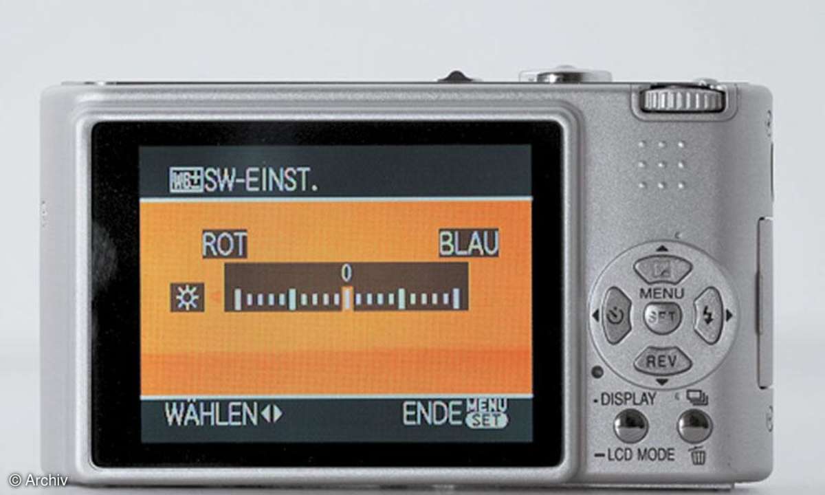 Panasonic Lumix DMC-FX3 Rückseite