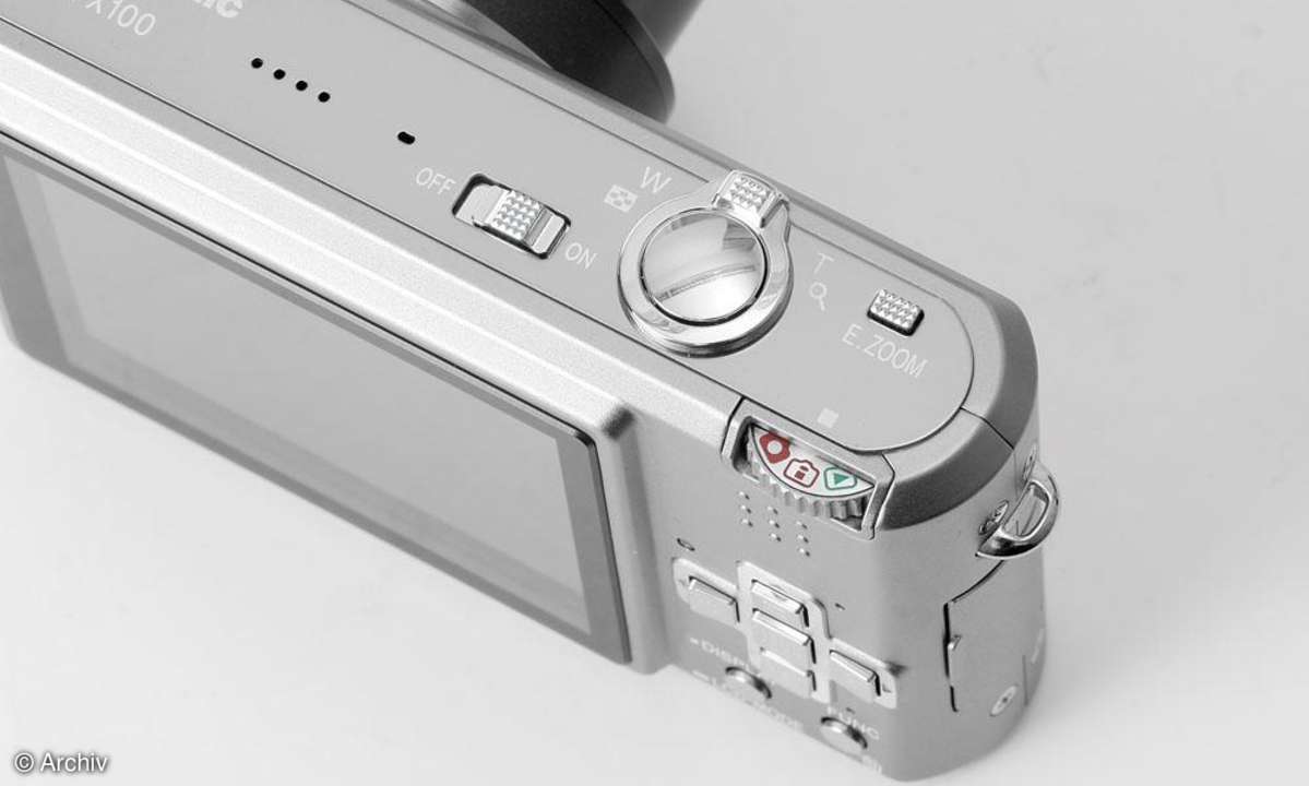 Panasonic DMC-FX100 Zoom-Taste