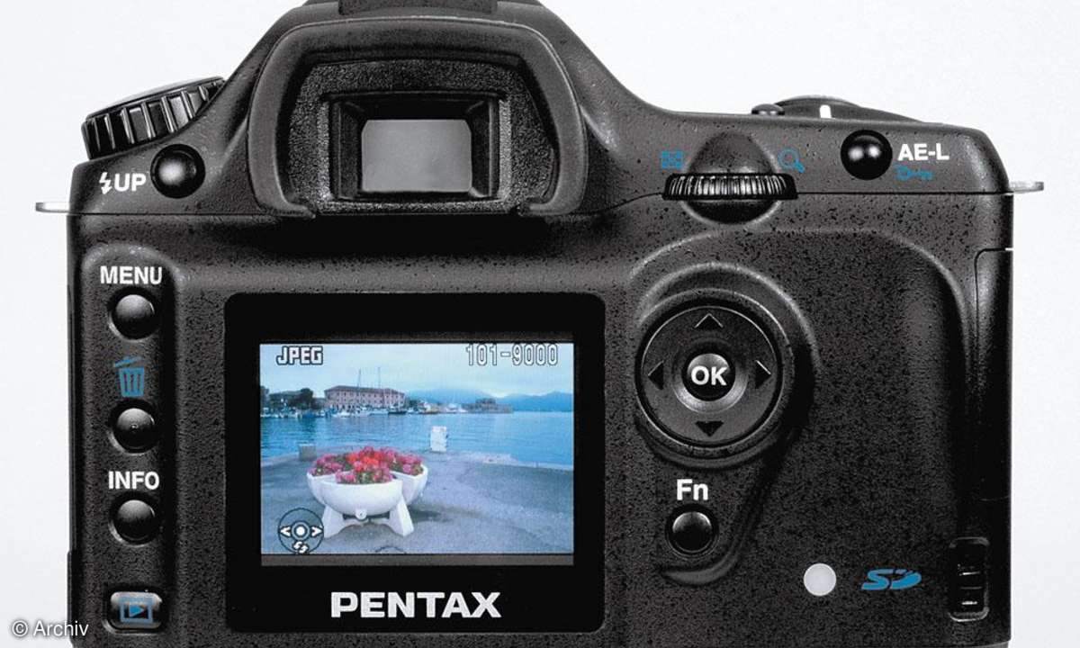 Pentax *istDS Rückseite/Display