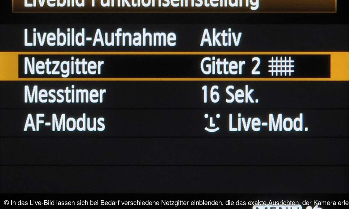 in das live-bild lassen sich bei bedarf verschiedene netzgitter einblenden, die das exakte ausrichten der kamera erleichtern.