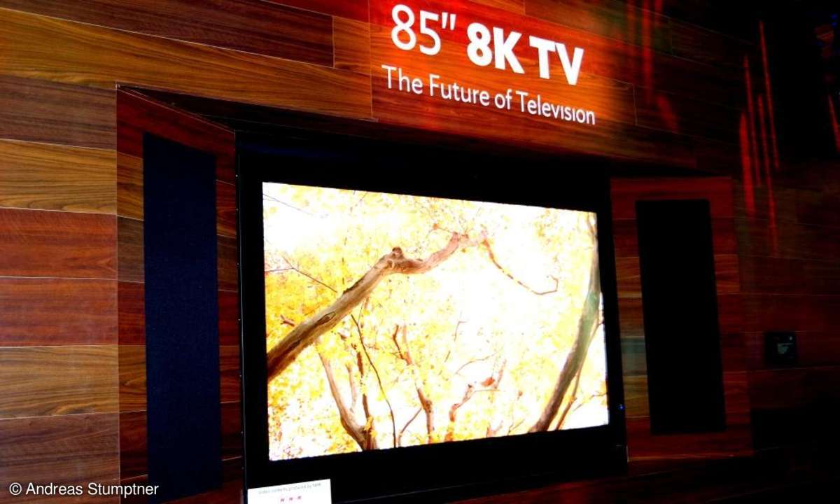 CES 2013