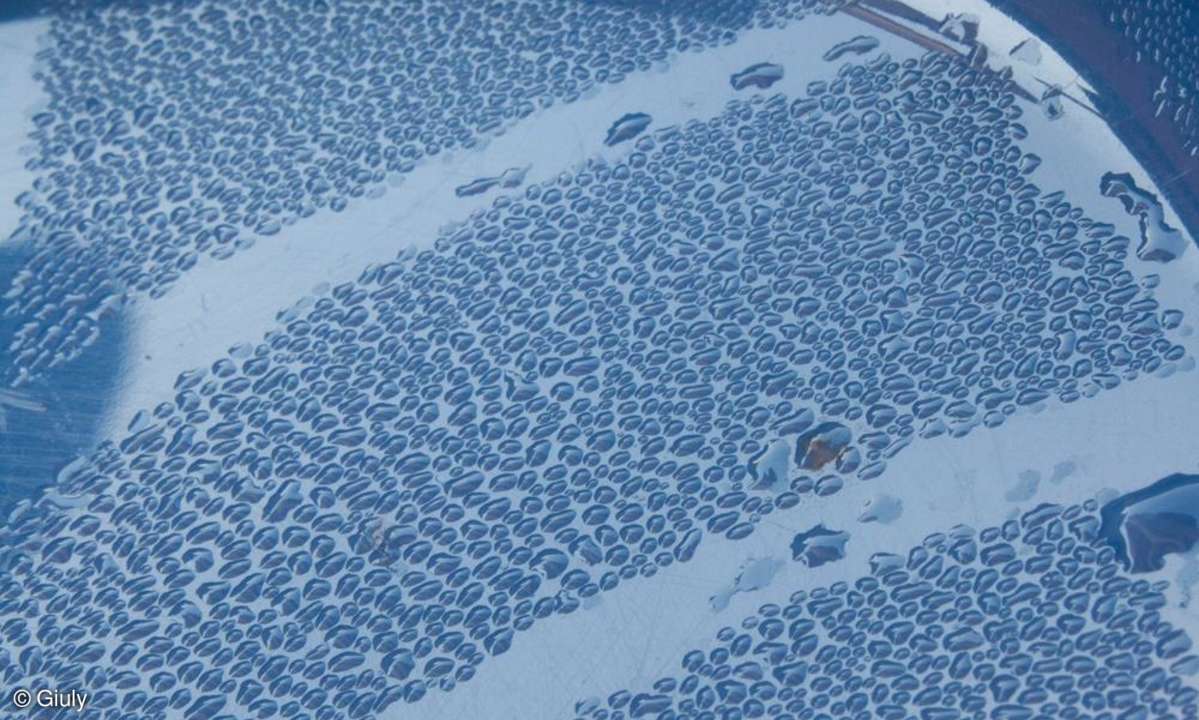 blu blu blu