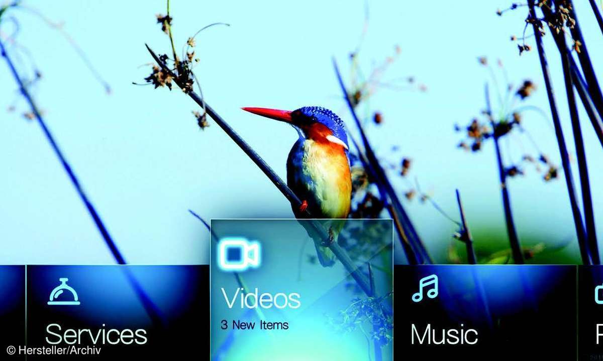 Media-Player WD Live Hub