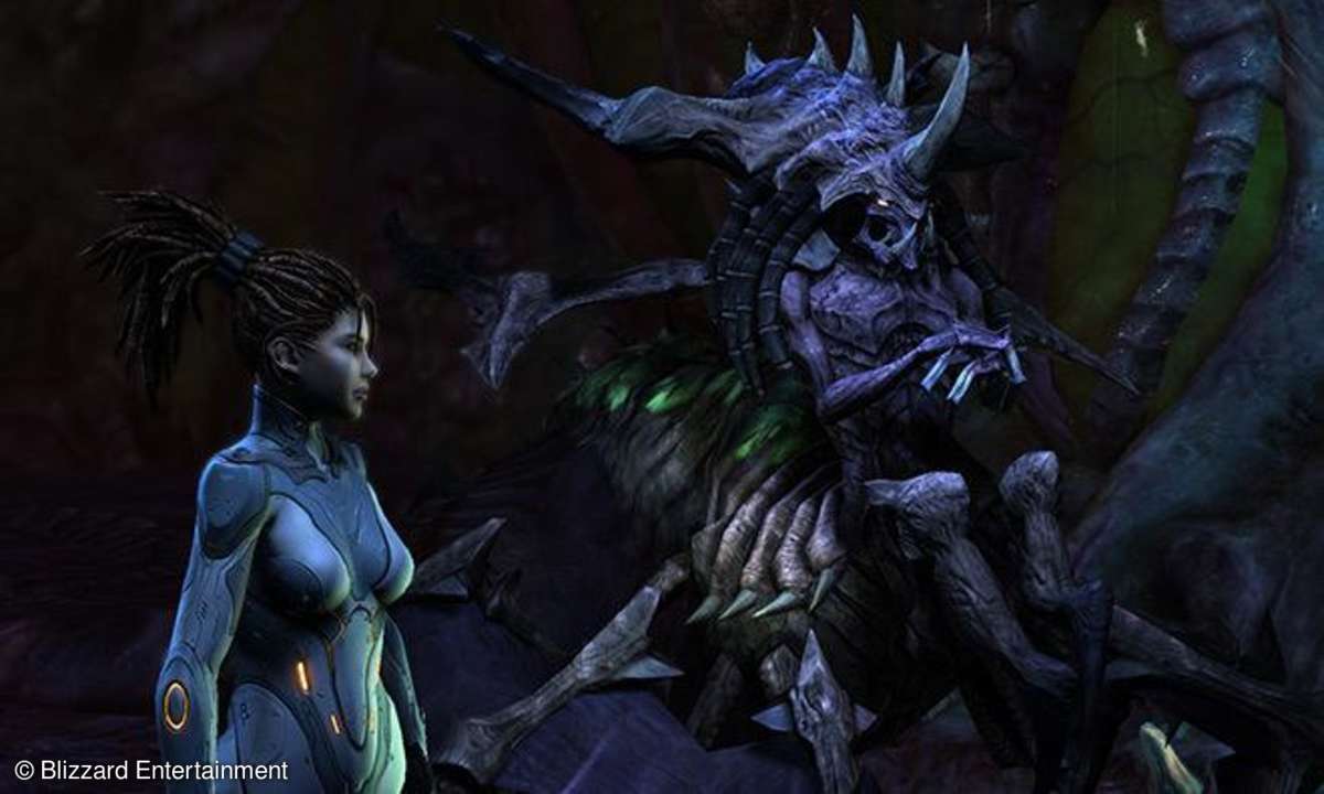 Starcraft 2: Heart of the Swarm im Test.