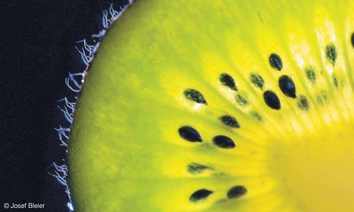 Foto-Praxis: Studioaufnahmen und Nachbearbeitung