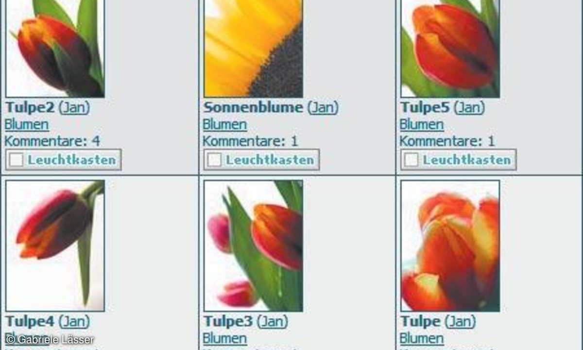 Test & Technik: Online-Fotogalerie
