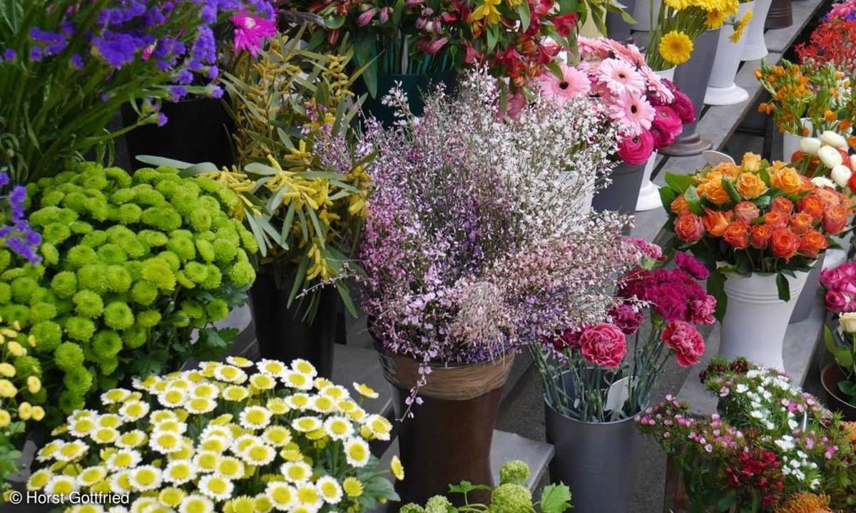 Testbild Panasonic Lumix GF 6 Blumen