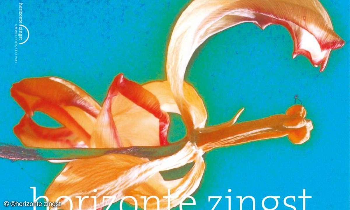 Umweltfotofestival Zingst