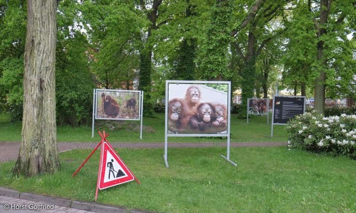 Umweltfotofestival Zingst