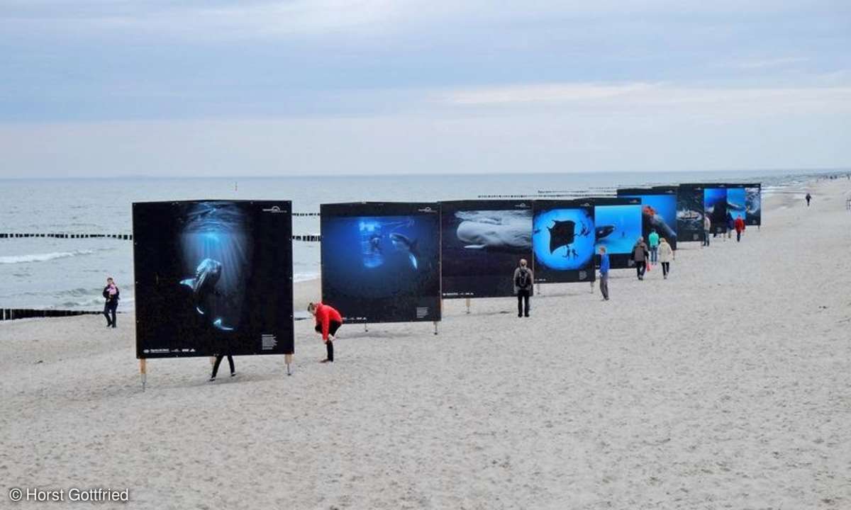 Umweltfotofestival Zingst