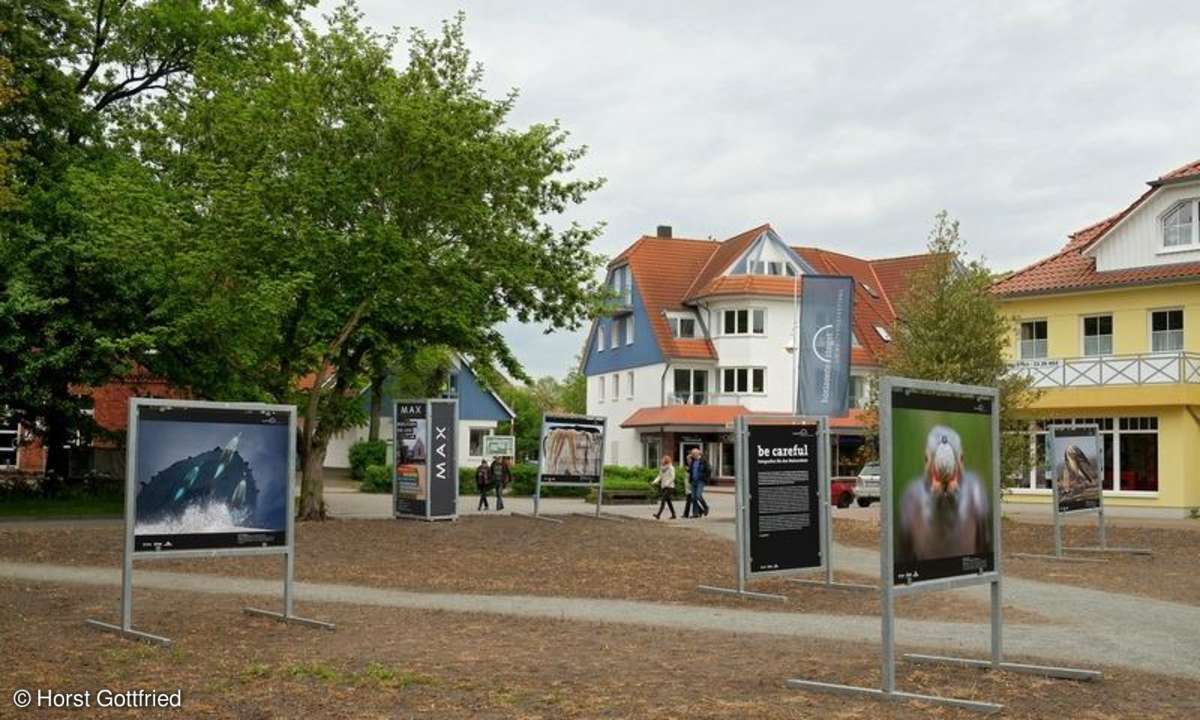 Umweltfotofestival Zingst