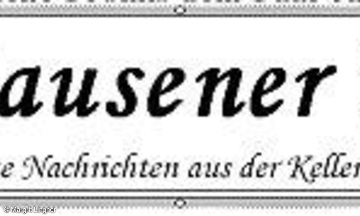 Hochzeitszeitung mit Word