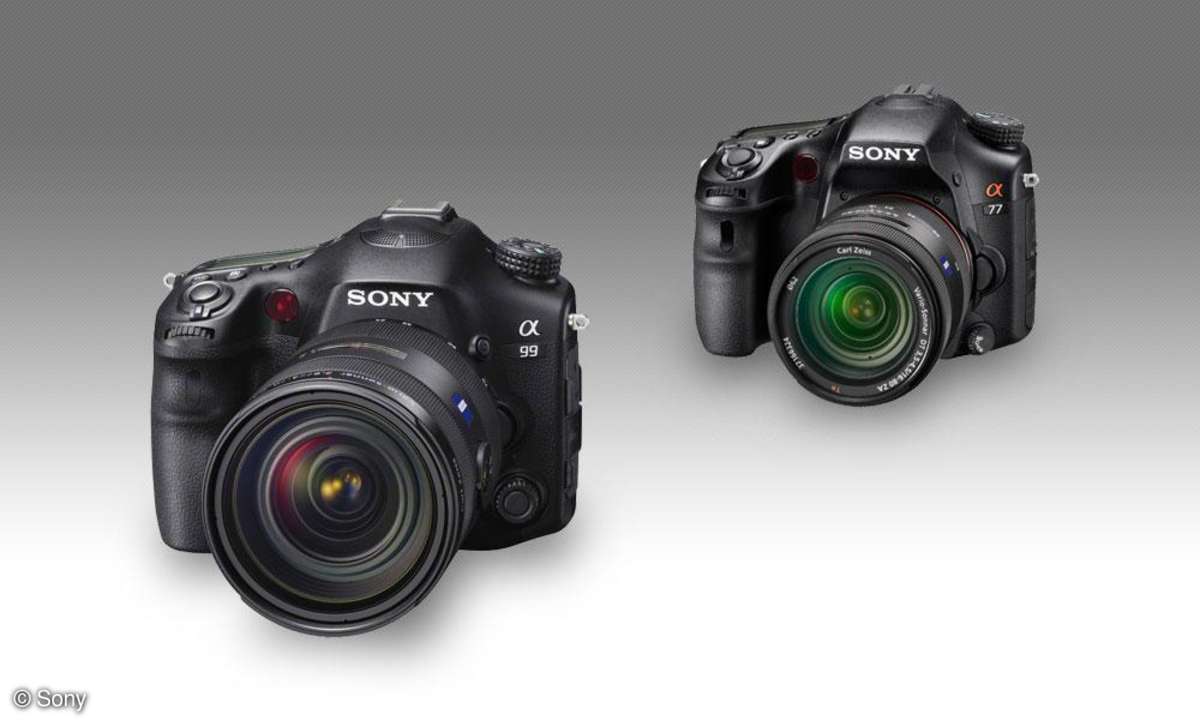 Sony Alpha 77 vs. Sony Alpha 99 Test Vergleich