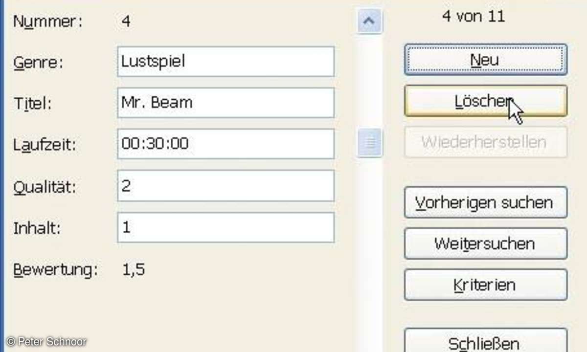 Datenbanken mit Excel