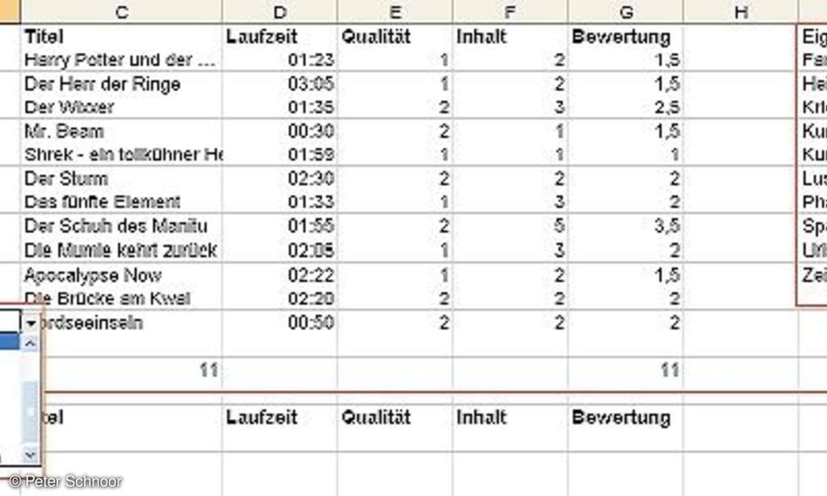 Datenbanken mit Excel