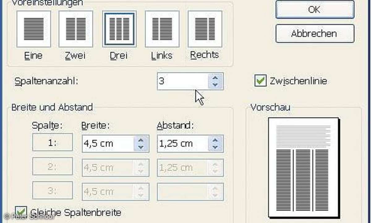 Desktop Publishing mit Word