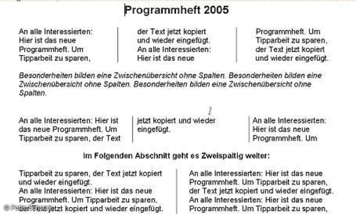 Desktop Publishing mit Word